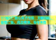 91制片厂糖心兔子传媒：无限精彩，告别广告，高清视频，等你来看