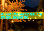 糖心vlog在线：记录生活瞬间，分享快乐时刻，随时随地观看