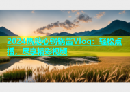 2024热糖心锅锅酱Vlog：轻松点播，尽享精彩视频