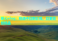糖心vlog：精选中日韩影视，日更百部精品