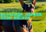 糖心vlog口罩女神：时尚护肤直播，美妆分享，实用口罩评测