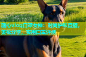 糖心vlog口罩女神：时尚护肤直播，美妆分享，实用口罩评测