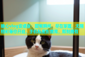 糖心vlog安卓版：甜蜜瞬间，尽在掌握，无限精彩等你开启，手机私密影音库，即刻拥有