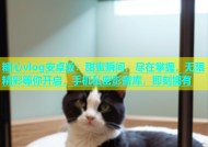 糖心vlog安卓版：甜蜜瞬间，尽在掌握，无限精彩等你开启，手机私密影音库，即刻拥有
