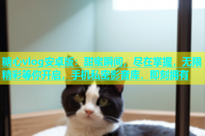 糖心vlog安卓版：甜蜜瞬间，尽在掌握，无限精彩等你开启，手机私密影音库，即刻拥有