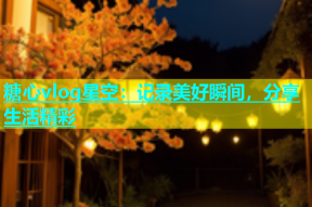 糖心vlog星空：记录美好瞬间，分享生活精彩