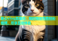 糖心vlog直播间：随时随地观看精彩视频，尽享互动体验