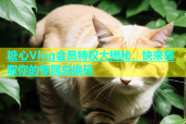 糖心Vlog会员特权大揭秘，快来领取你的专属兑换码