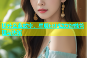 提升企业效率，星辰ERP助力智能管理与决策