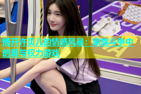 揭开许贝儿的情感风暴：家族斗争中的爱与权力游戏