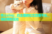糖心vlog：约主播的社交直播平台，随时随地互动