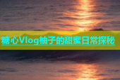 糖心Vlog柚子的甜蜜日常探秘