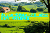 糖心vlog兑换码永久激活码，解锁专属福利，畅享创作乐趣