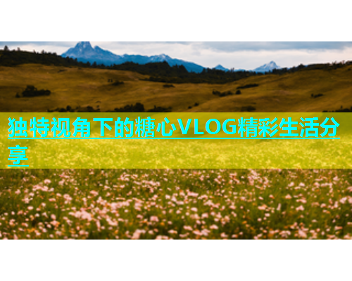 独特视角下的糖心VLOG精彩生活分享  第2张