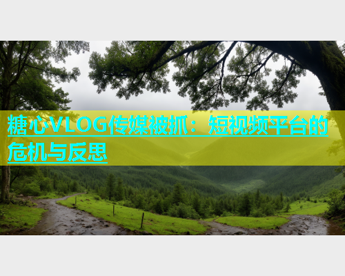 糖心VLOG传媒被抓：短视频平台的危机与反思  第2张