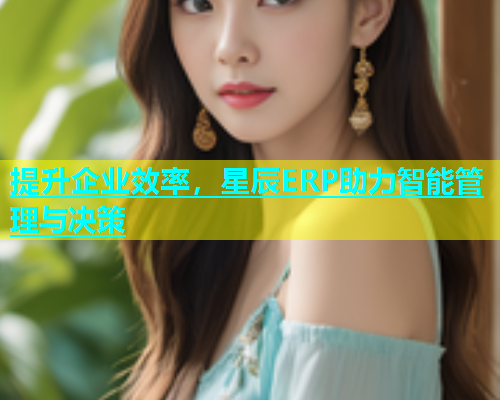 提升企业效率，星辰ERP助力智能管理与决策  第1张