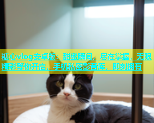 糖心vlog安卓版：甜蜜瞬间，尽在掌握，无限精彩等你开启，手机私密影音库，即刻拥有  第1张