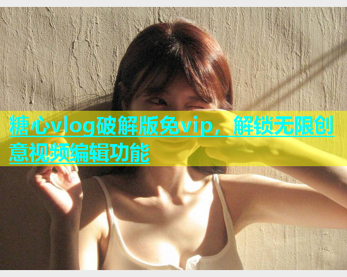 糖心vlog破解版免vip，解锁无限创意视频编辑功能  第2张