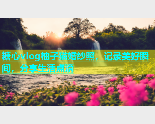糖心vlog柚子猫婚纱照，记录美好瞬间，分享生活点滴  第1张