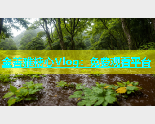 金善雅糖心Vlog：免费观看平台  第1张